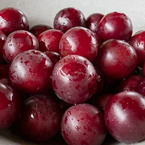 Foraging: Wild Plum Torte