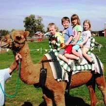 Bar C Ranch: Visit to the Petting Zoo