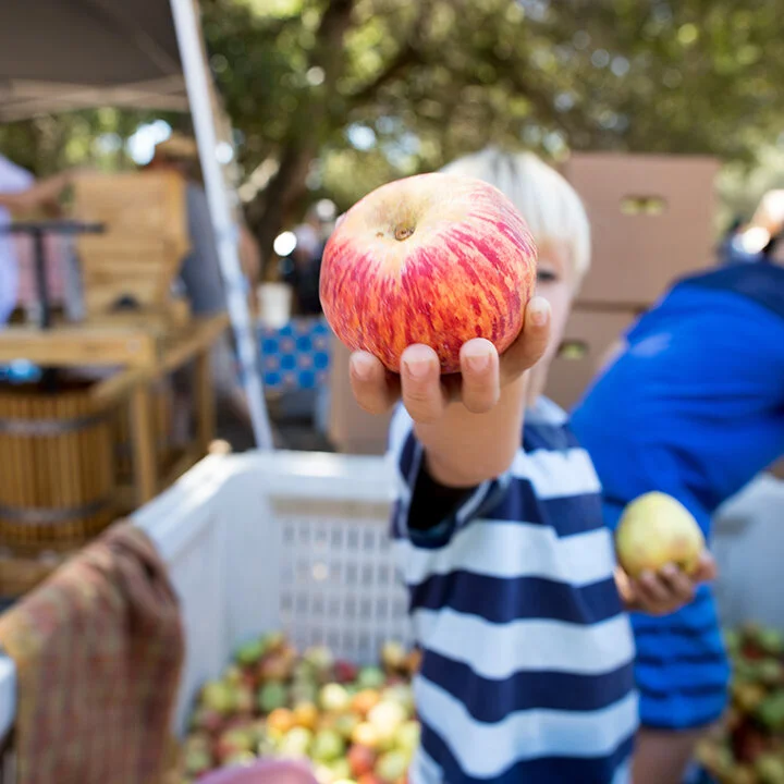 Grav &amp; Go APPLES 🍏🍎 AND 3 Family Friendly Tours at Sonoma Farms &amp; Ranches