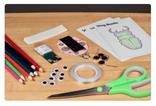 Build Solar Bugs with Brown Dog Gadgets