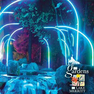 Get Lit at The Autumn Lights Festival, The Gardens at Lake Merritt