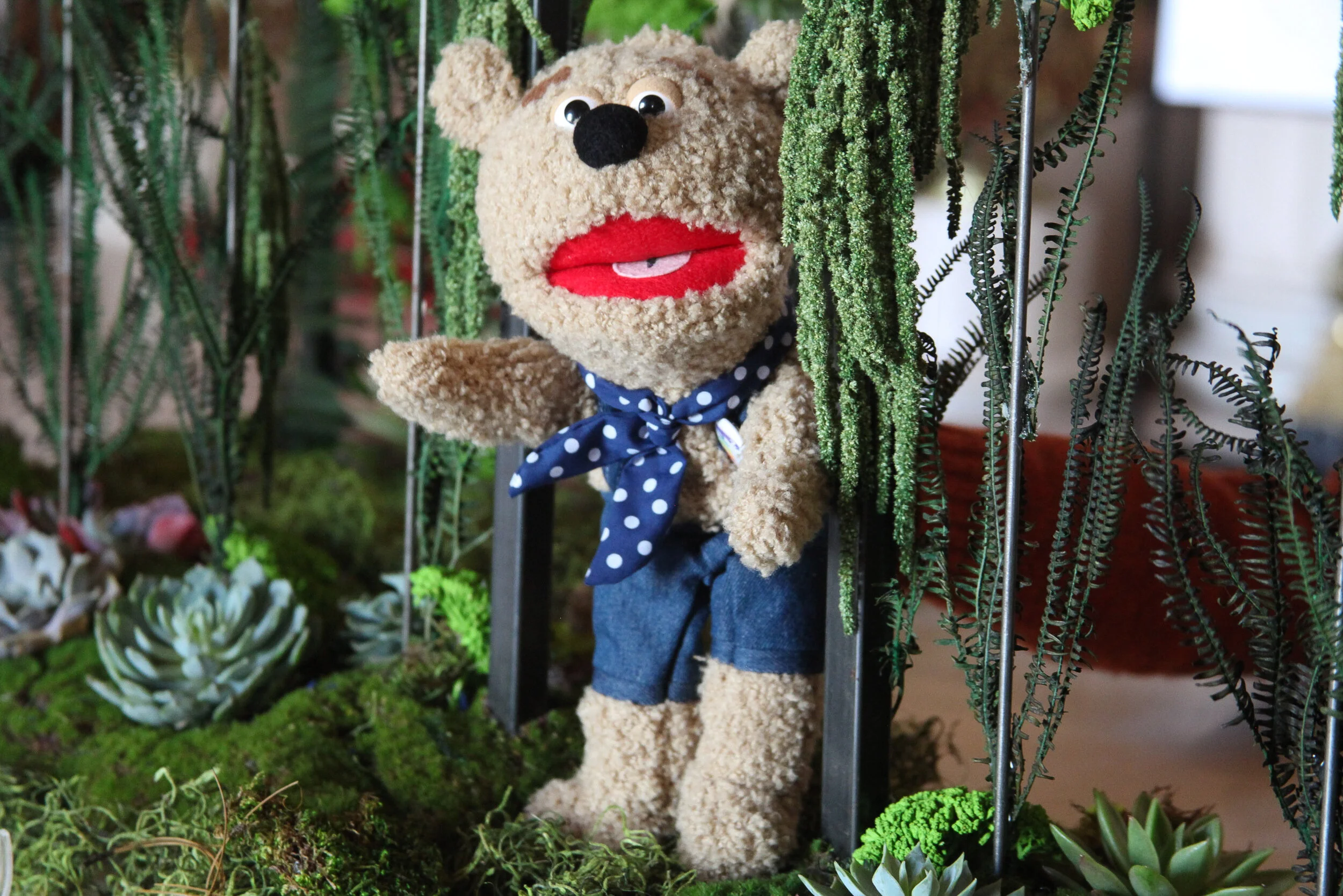 Story Time: Opera Bear and Three Divas