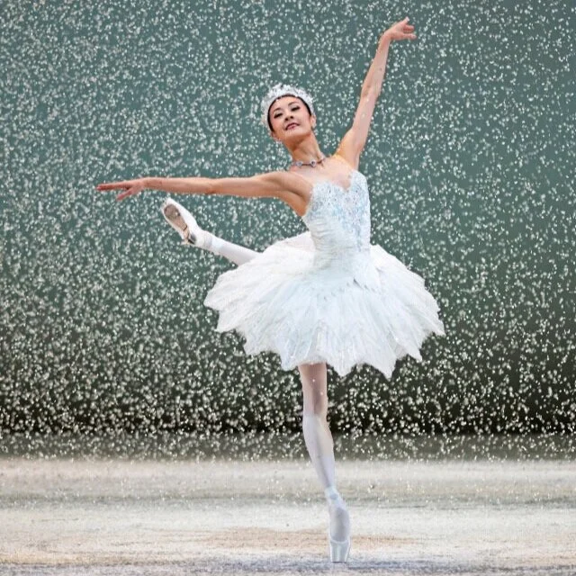 The San Francisco Nutcracker Online
