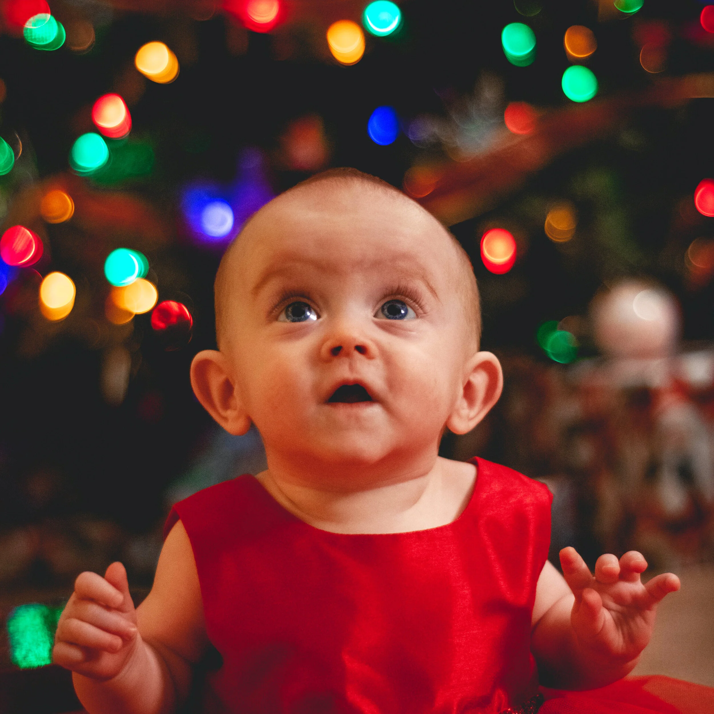 Where The Find The Best Christmas Lights&nbsp;in the Bay Area