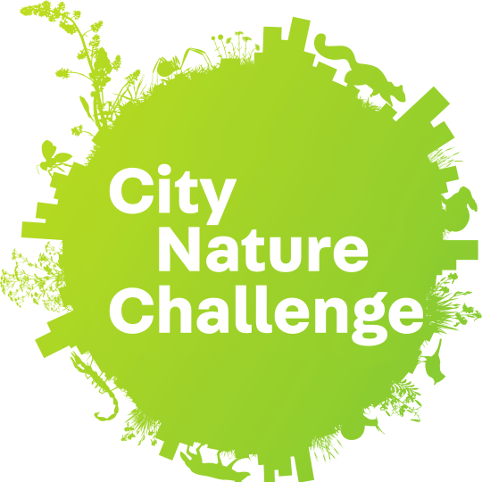 City Nature Challenge