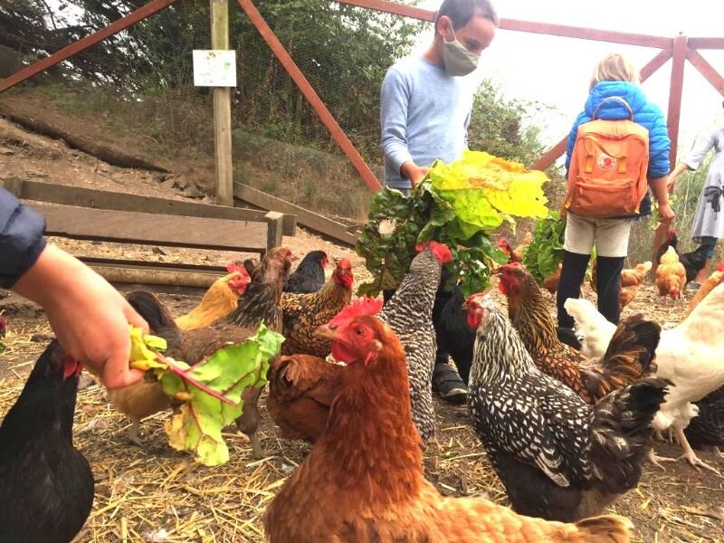 Earth Day Volunteers at Slide Ranch