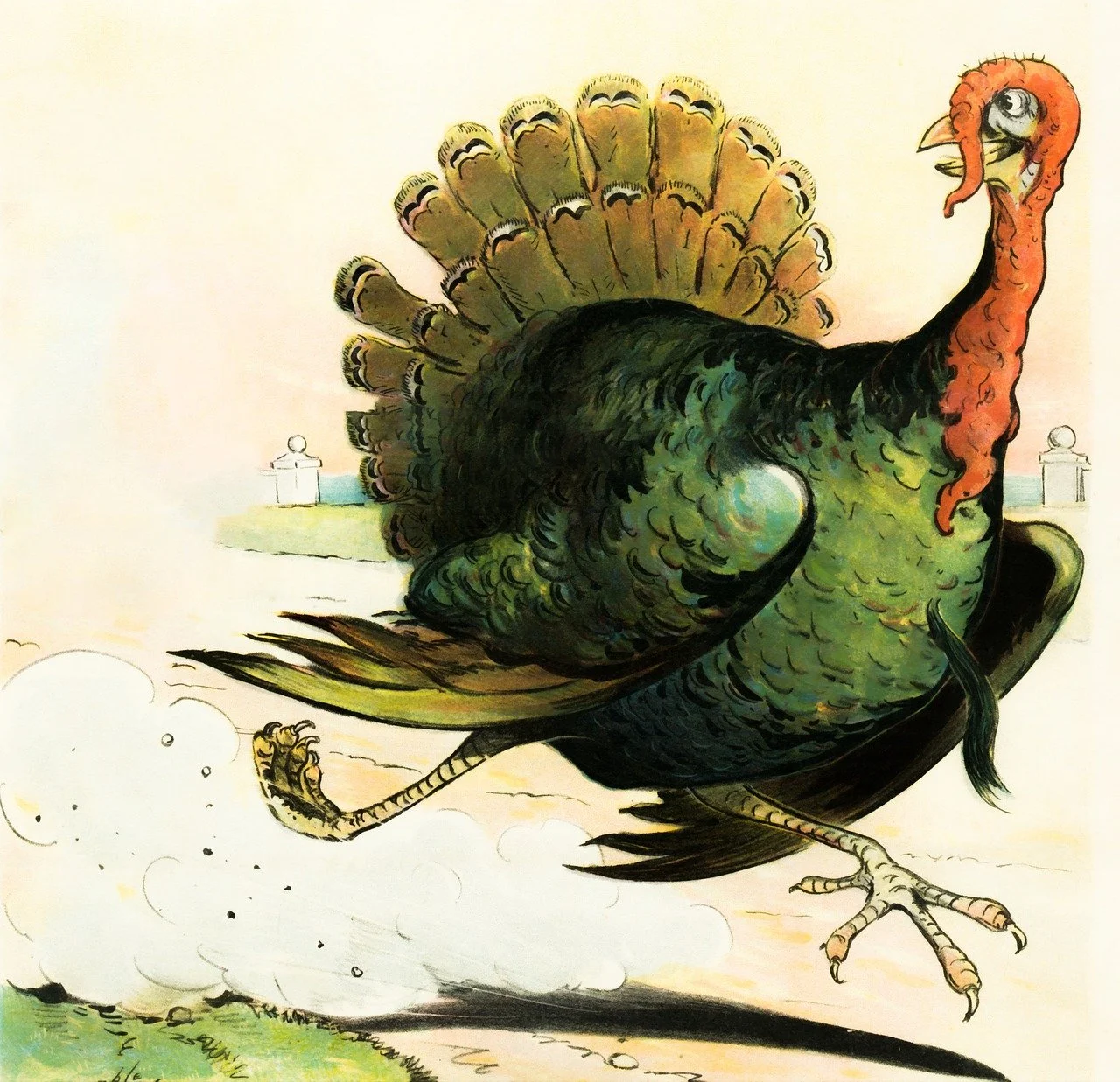 Run Your Turkey Tail Off at a Local Turkey Trot