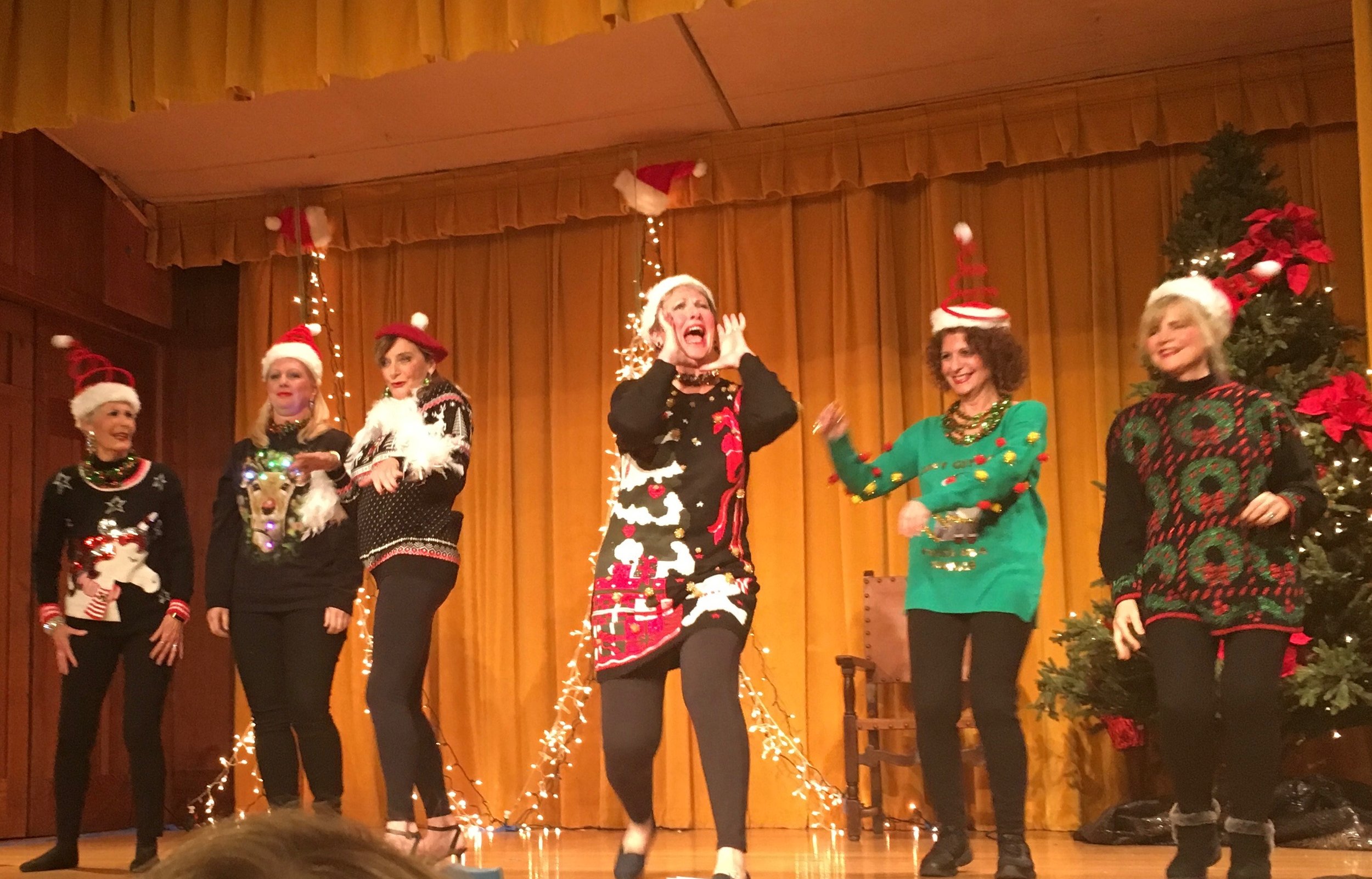12 Zaniest Days of Christmas EVER!