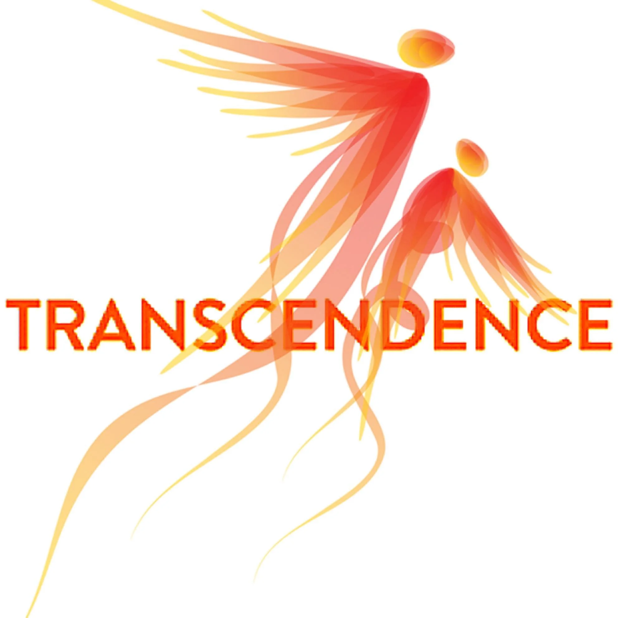 Transcendence's Kids Camp