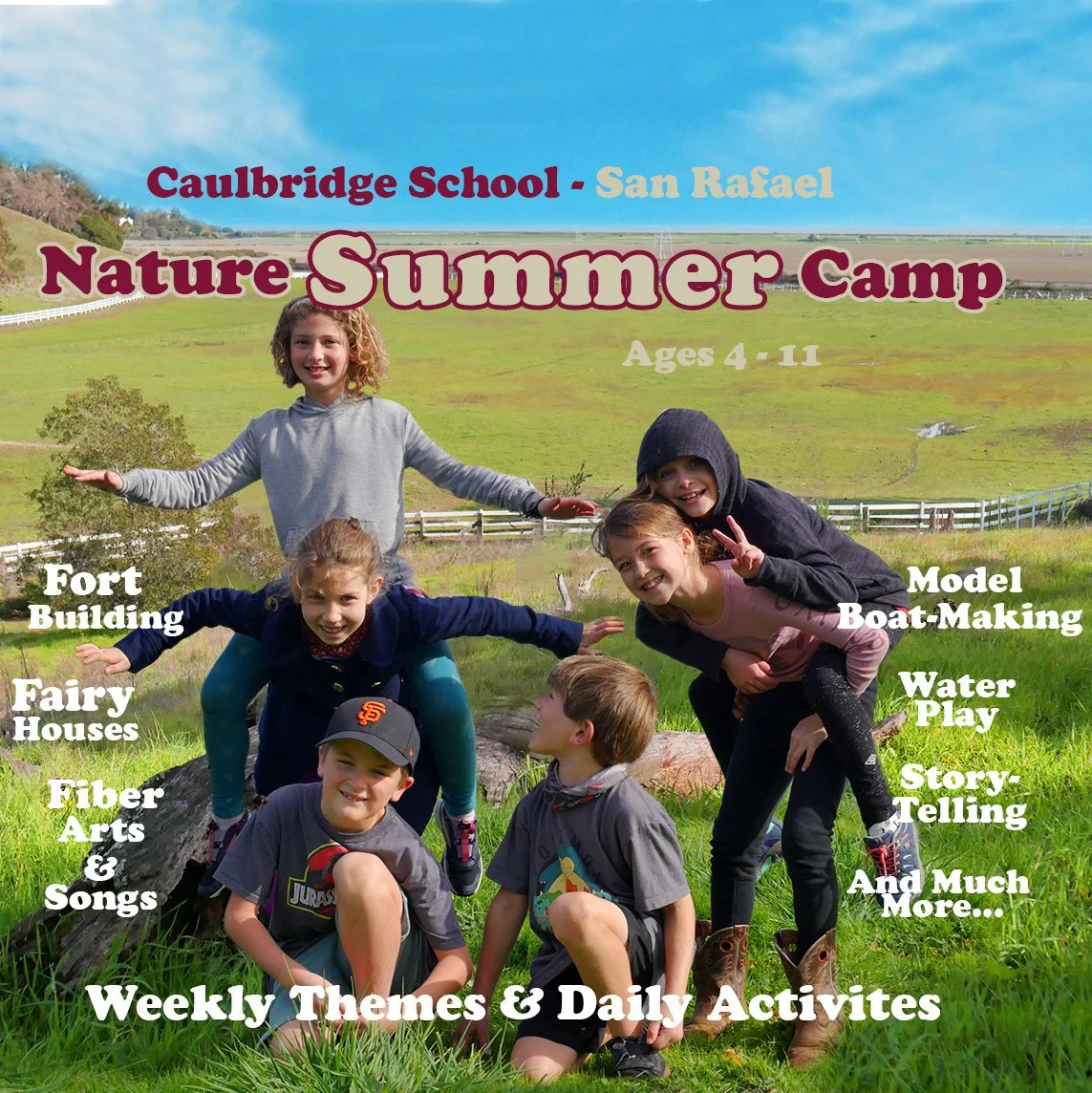 Caulbridge Summer Camp
