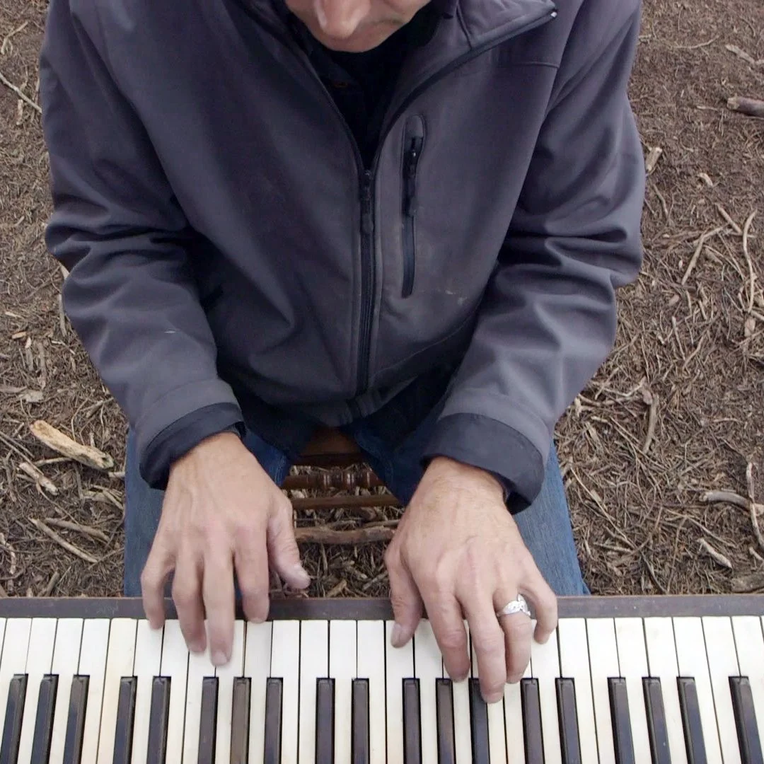 Flower Piano VII : SF Botanical Garden