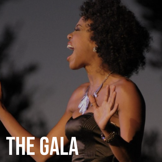 Transcendence Theatre Company Presents The Gala Celebration