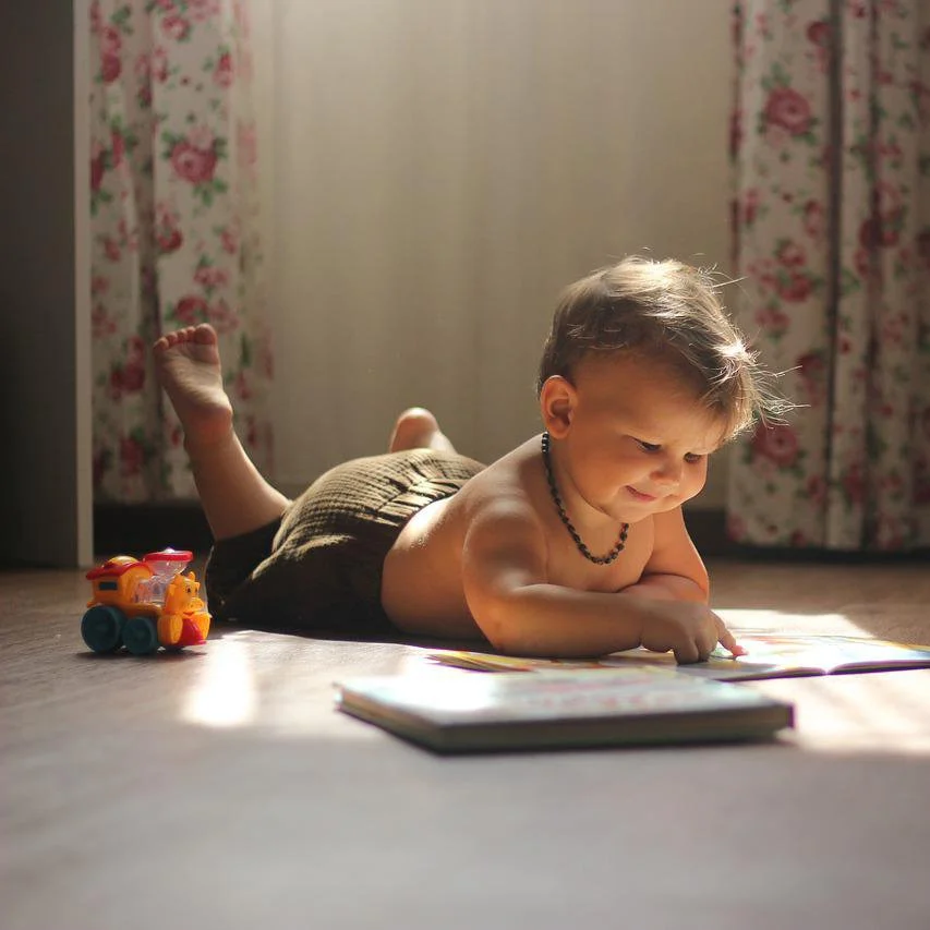 14 Read-Aloud Fall Picture Books