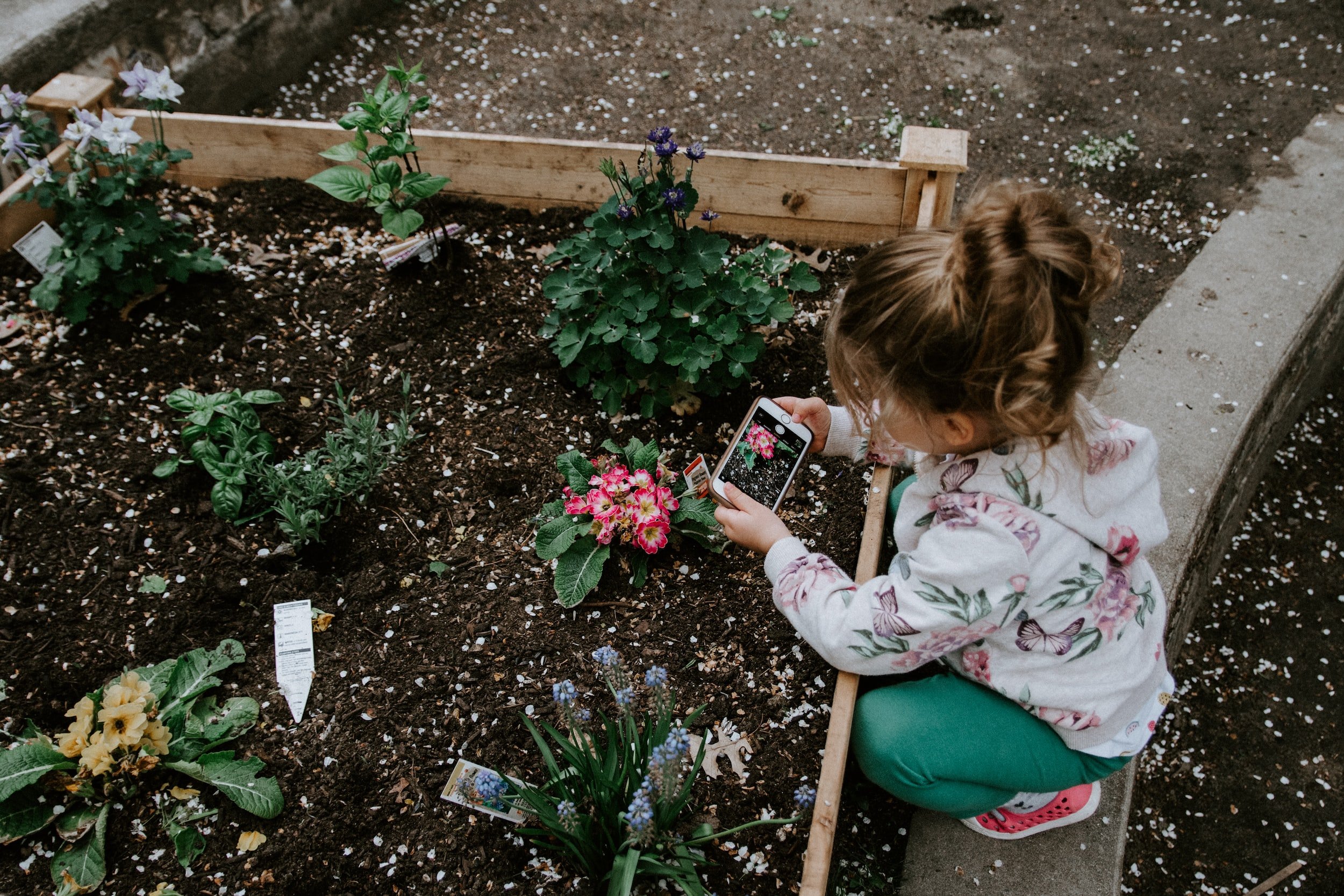 San Domenico School Garden Faire