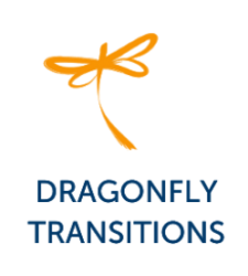 Dragonfly Transitions
