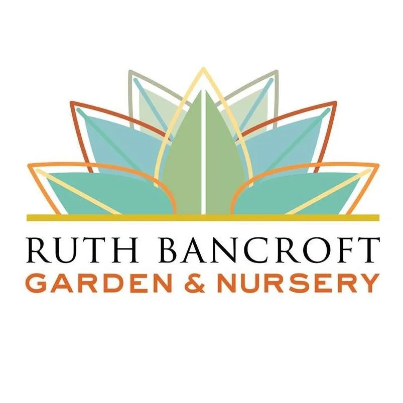  Ruth Bancroft Garden