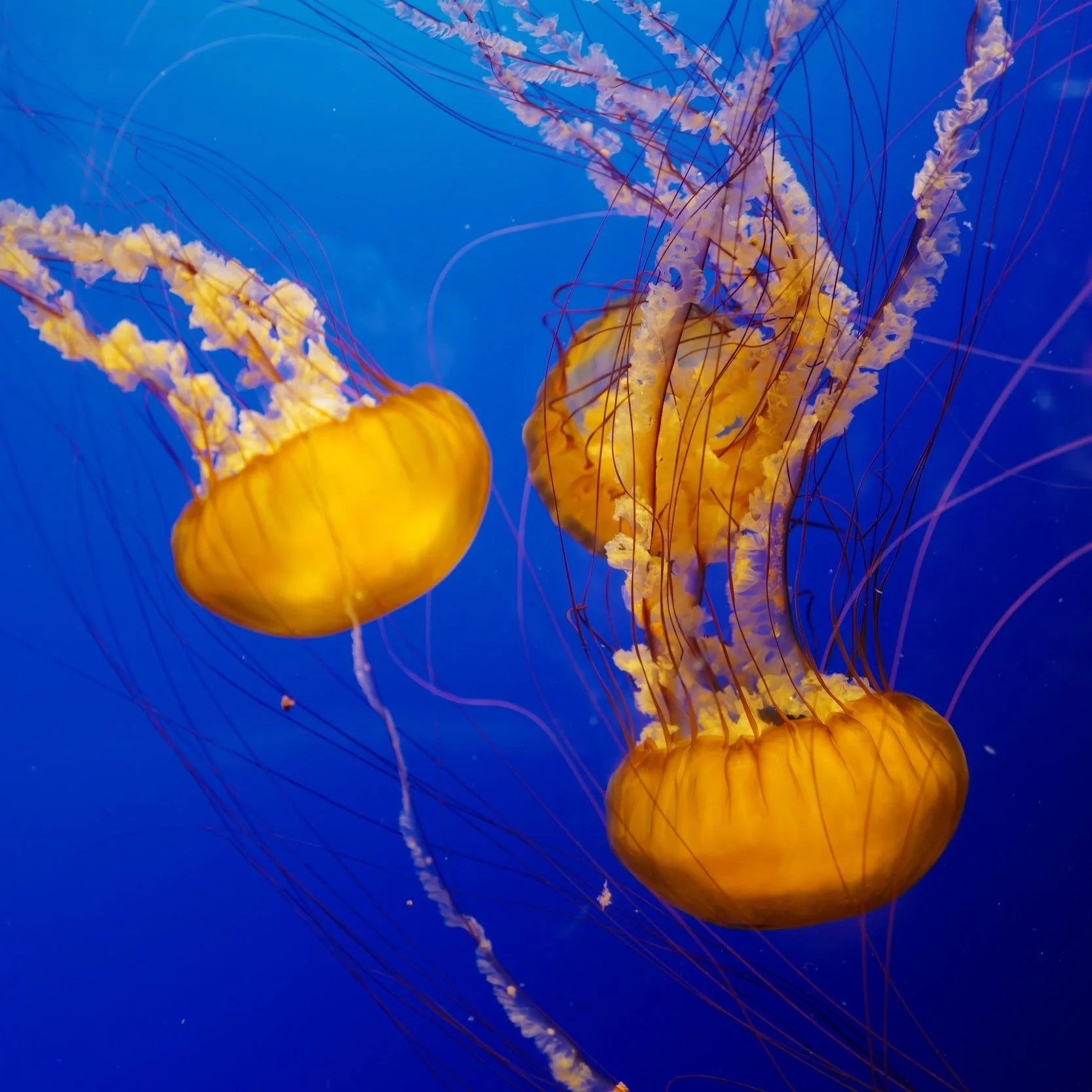 Overnight Adventures