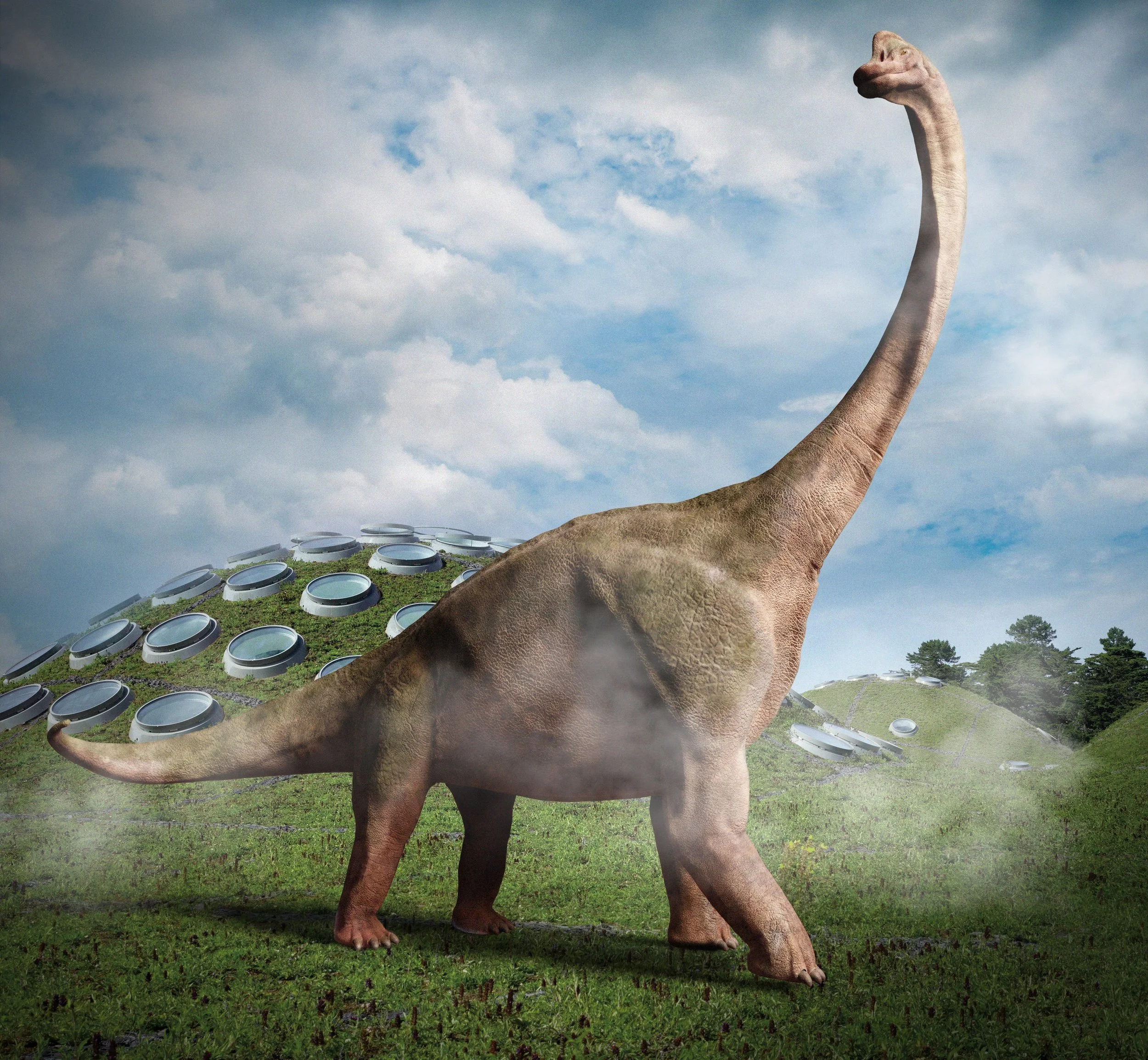 Cal Academy's New Exhibit, The World's Largest Dinosaurs