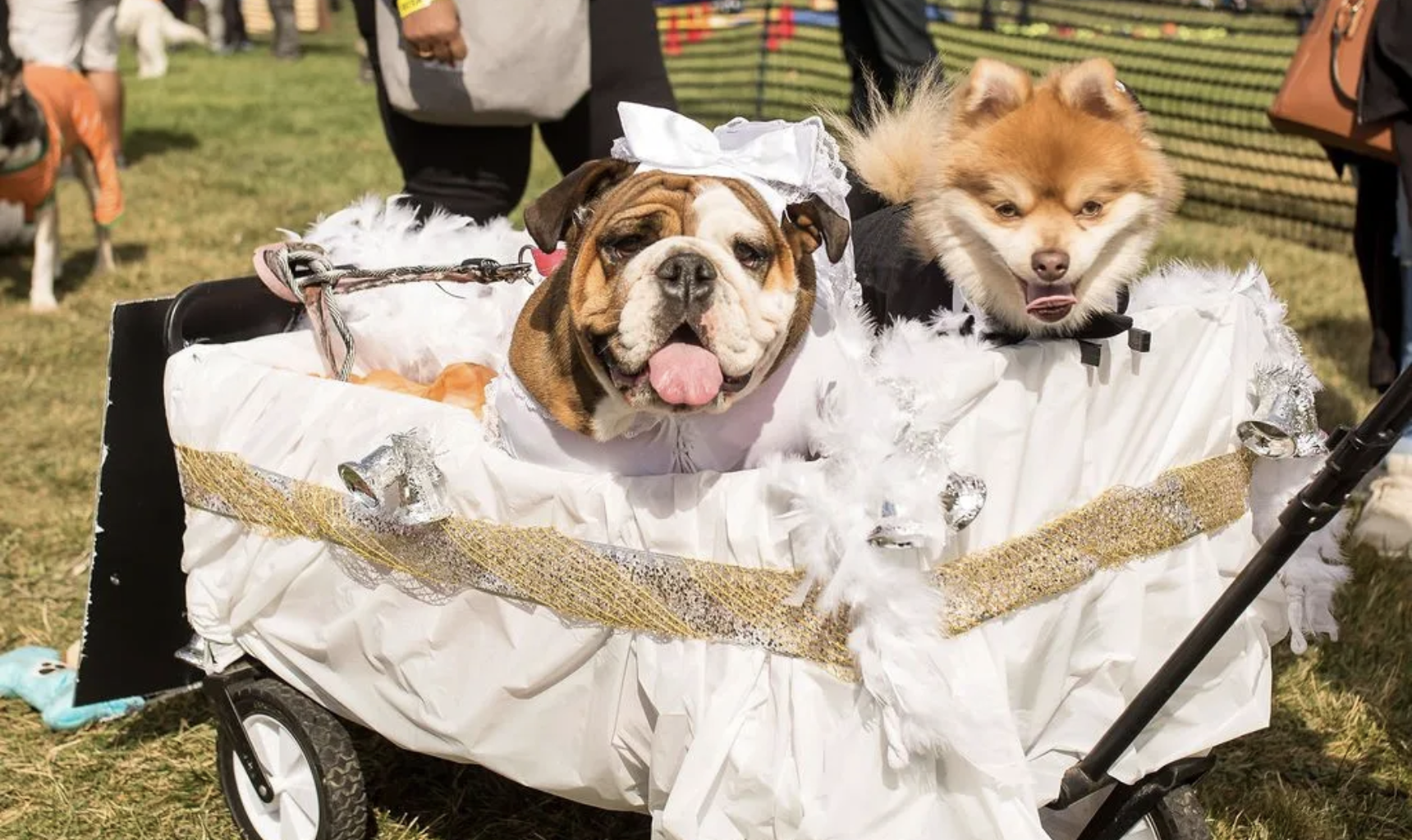 Family Fall-Tastic: Five Events, One Day!