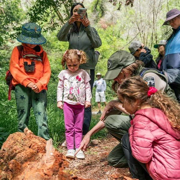 Family Walk: Blackstone Canyon