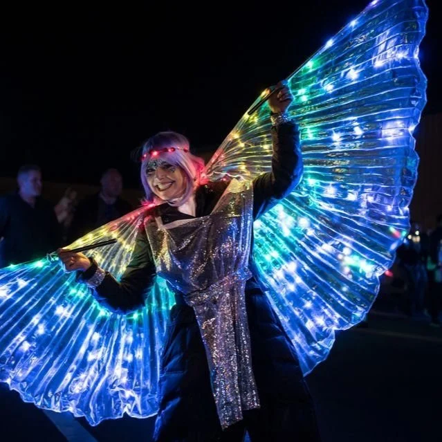 Napa Lighted Art Festival