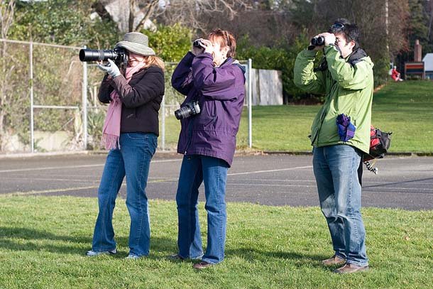 Golden Gate Bird Alliance’s Christmas Bird Counts