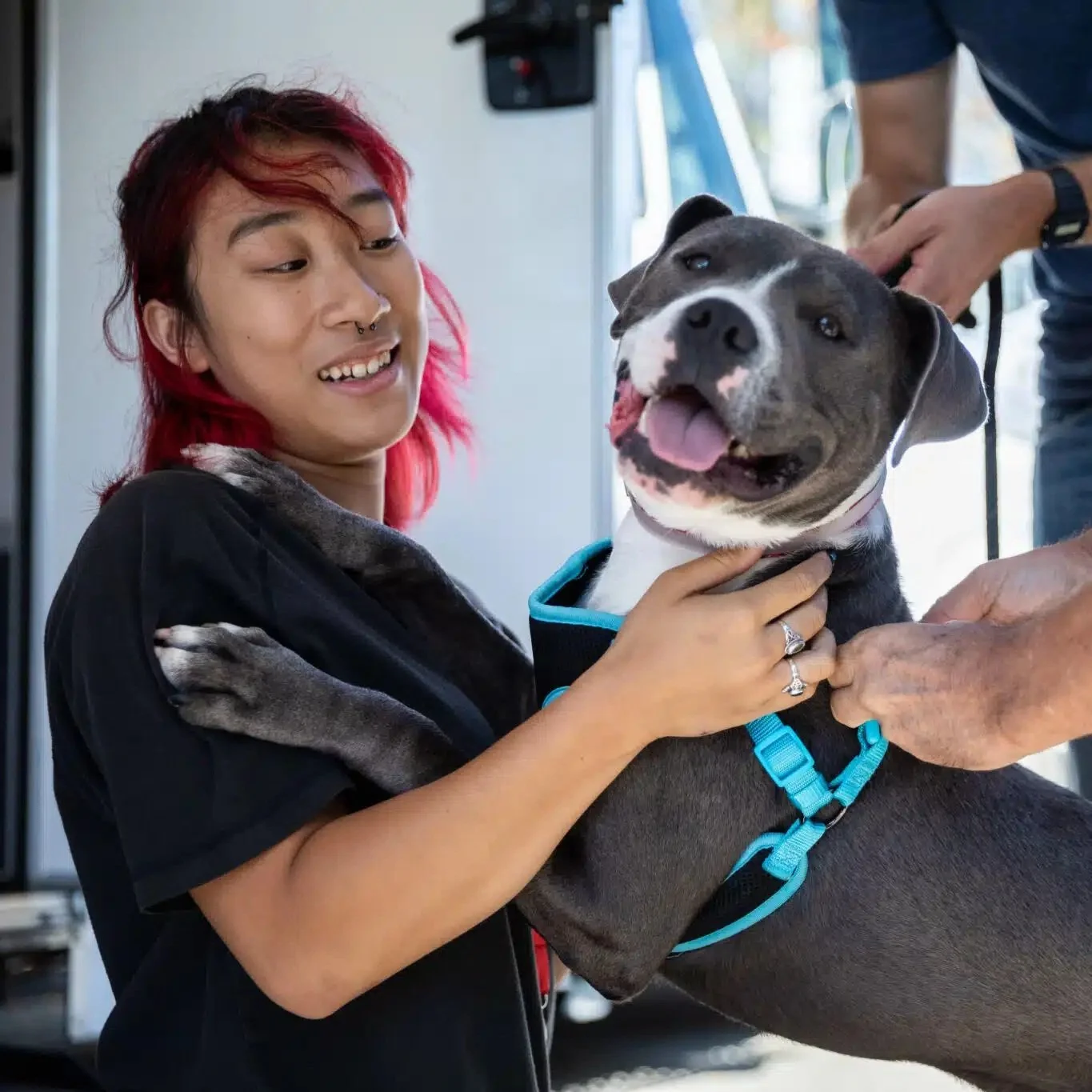Unleash the LOVE Adopt-a-thon &amp; Celebration