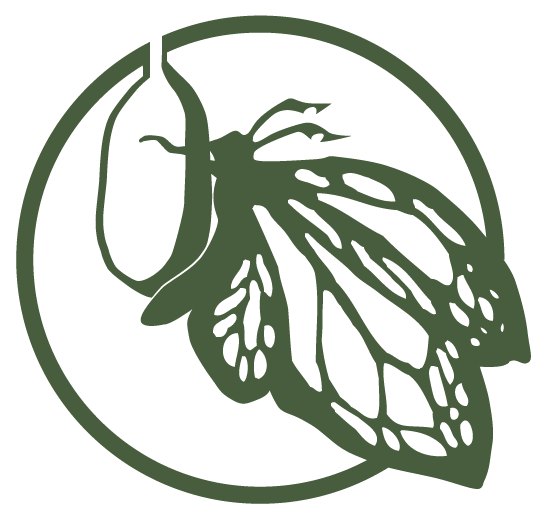 Camp Chrysalis