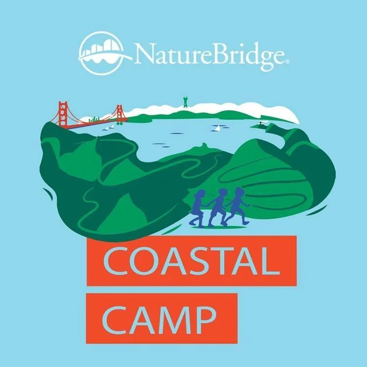 Coastal Camp