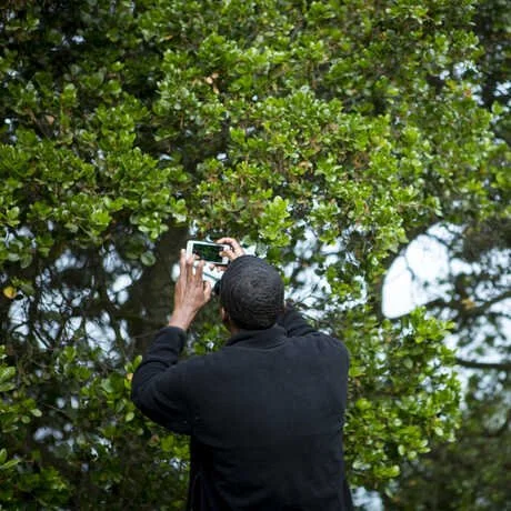 Find 30 Species for CA Biodiversity Day