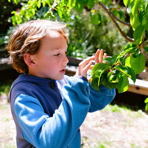 Spilling the Tea on Two Great Garden Events at San Domenico School’s Garden of Hope