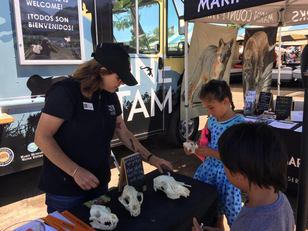 Mt. Tamalpais State Park Science Quest Day