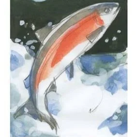 Lake Sonoma Steelhead Festival