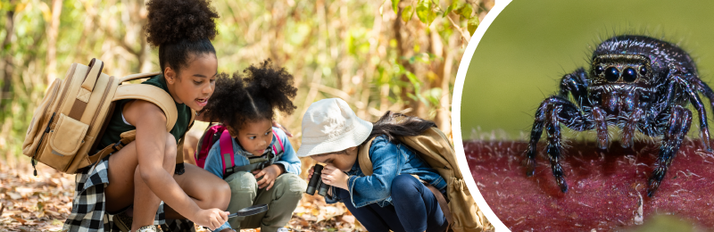 Family Nature Adventures