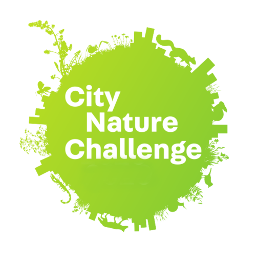 City Nature Challenge