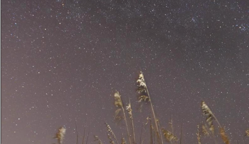Astronomy Program: Starry, Starry Night