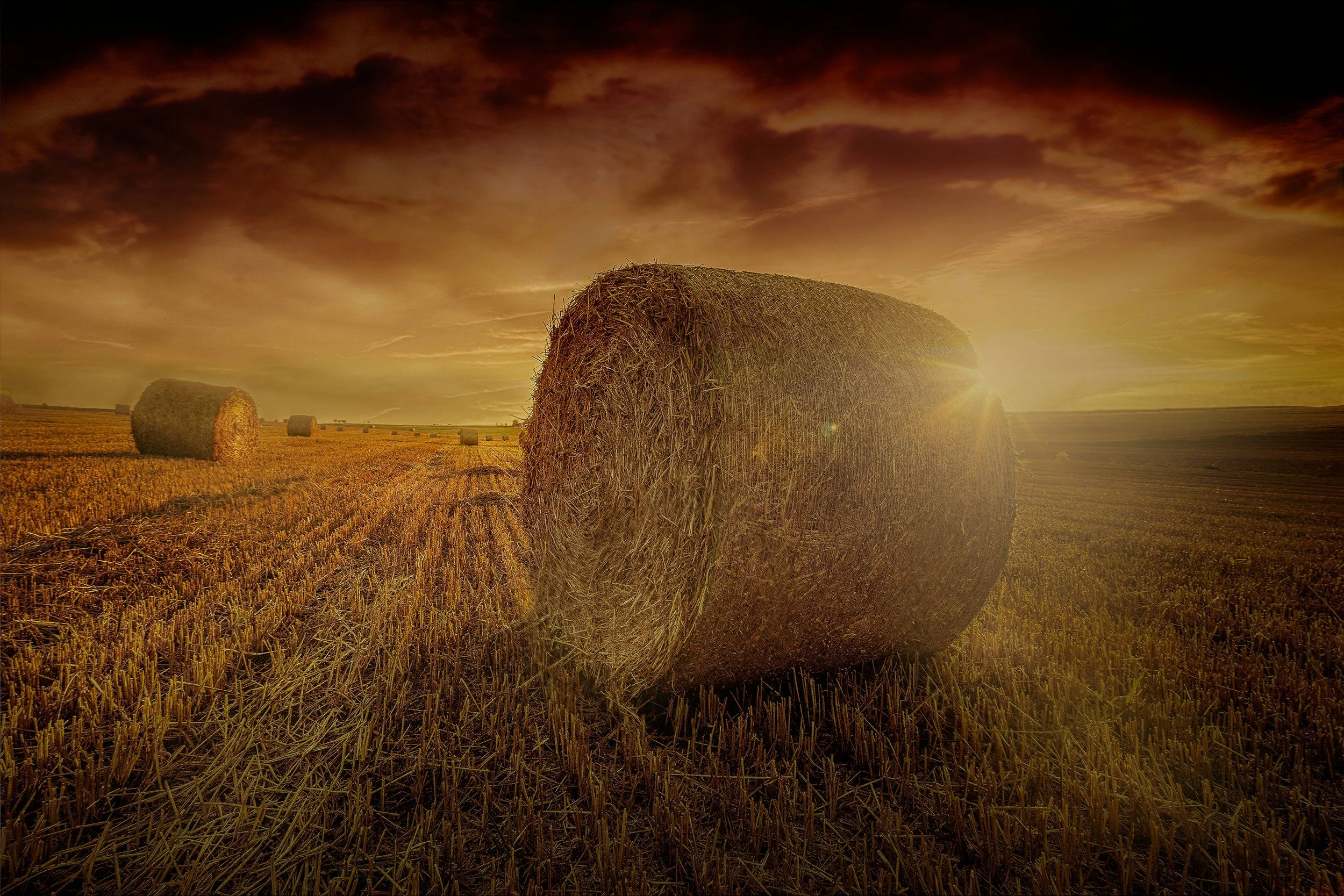 Historic Hay Harvest