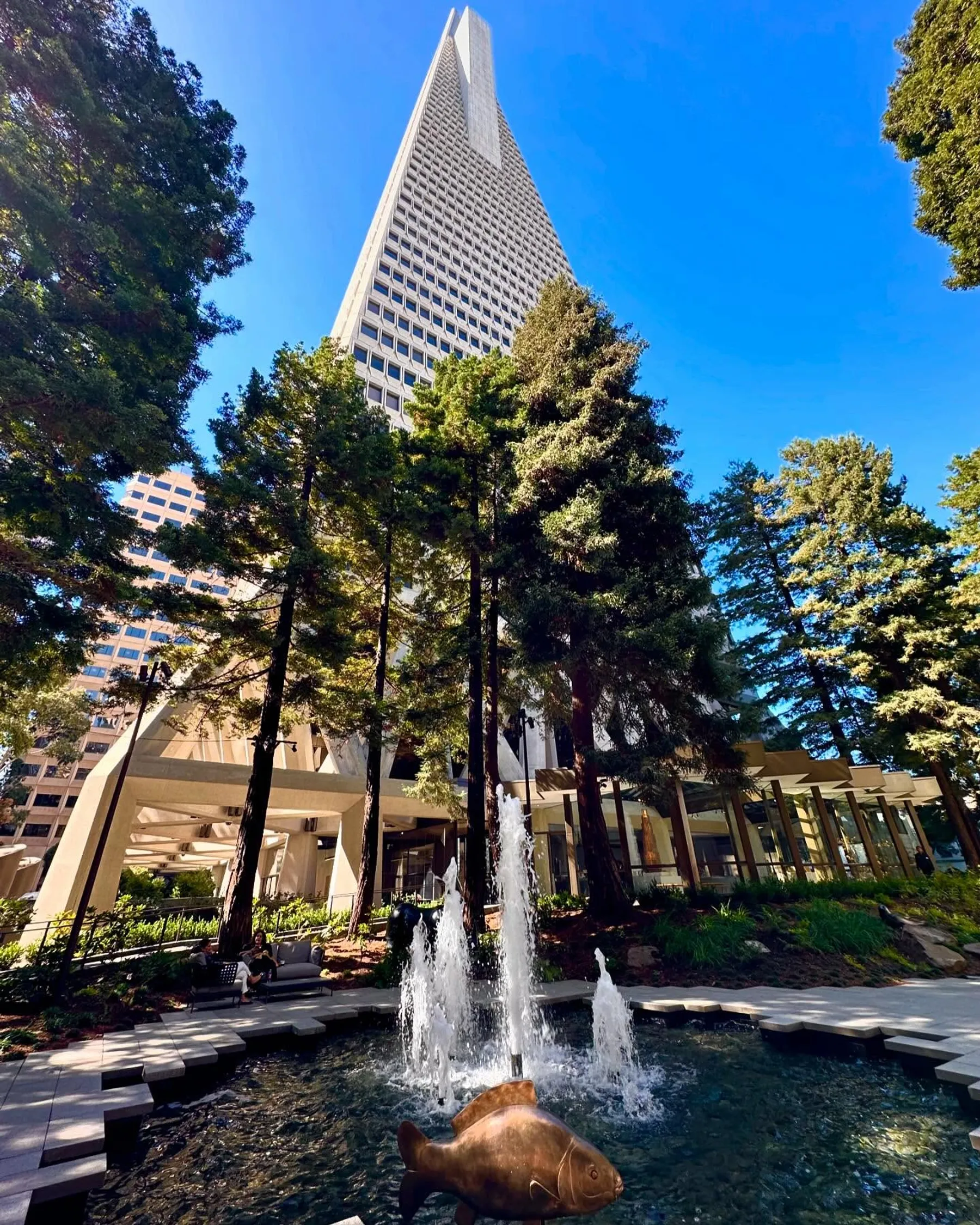 Redwood Park Concert Series