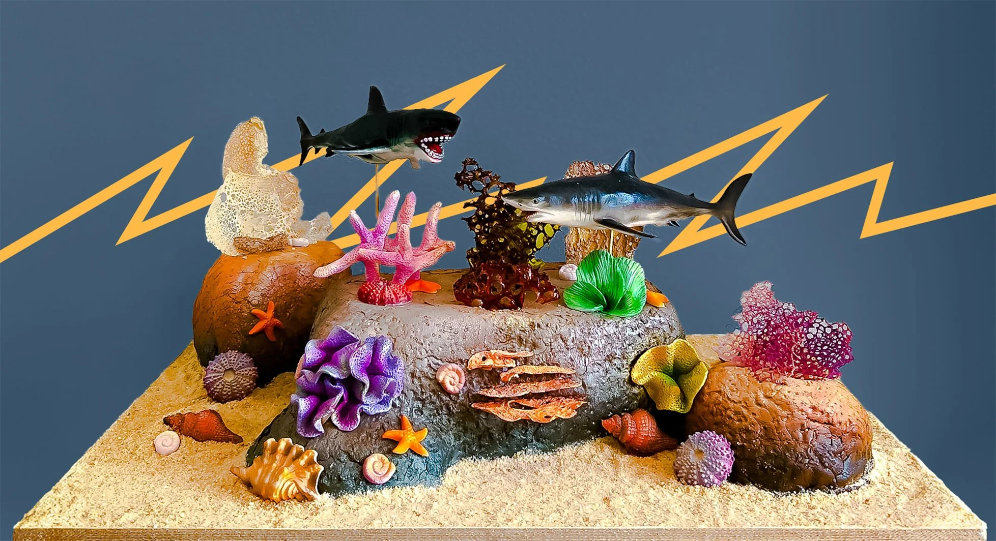 Science Is A Piece of Cake: Marine Biology (Kids Edition)