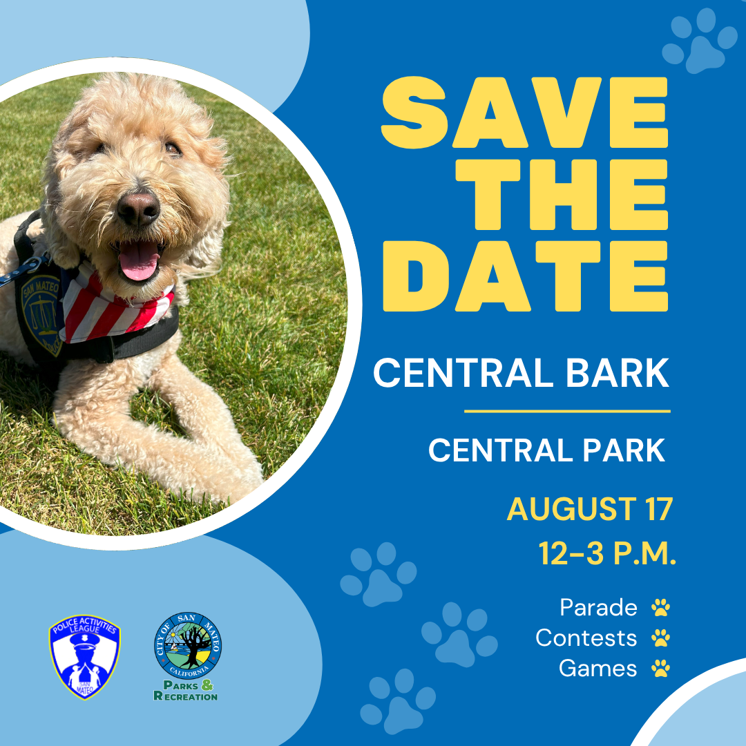 Central Bark