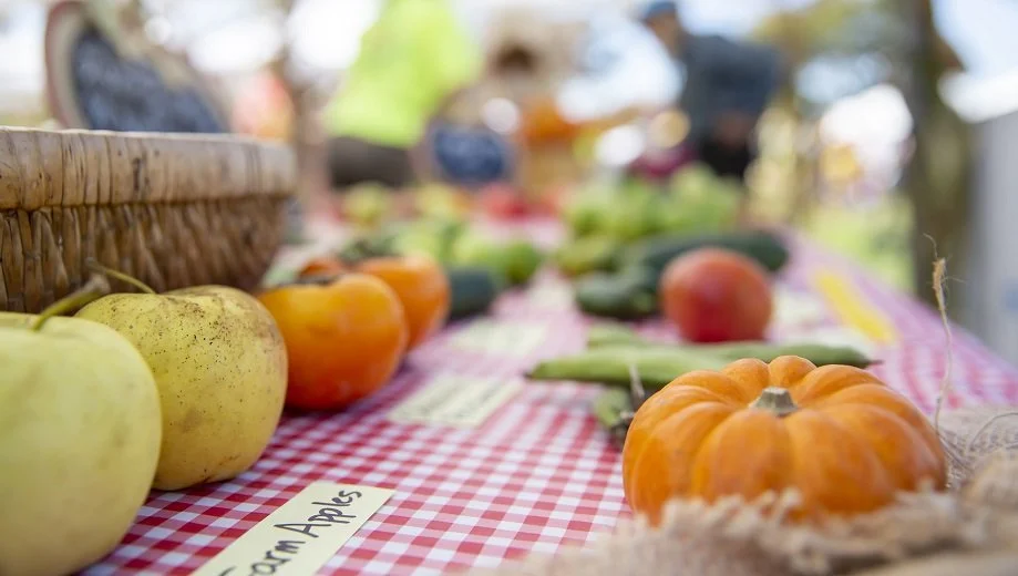Berkeley Harvest Festival