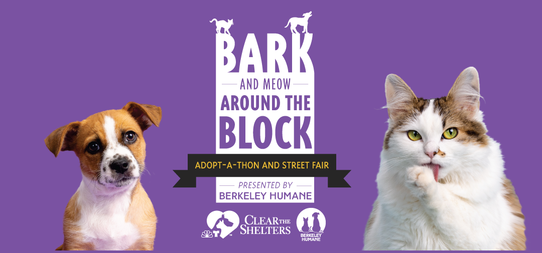 Bark (&amp; Meow) Around the Block
