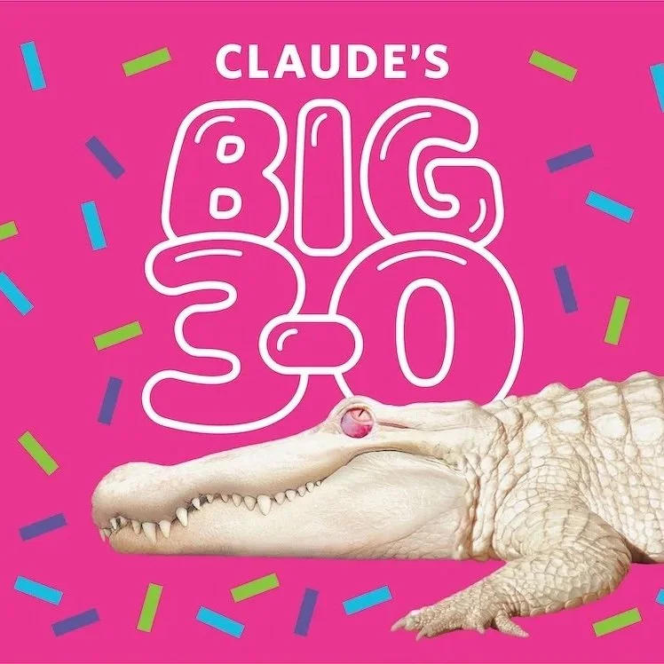 Claude's Hatchday Celebration
