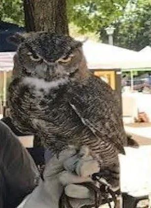 Nature and Community Fair