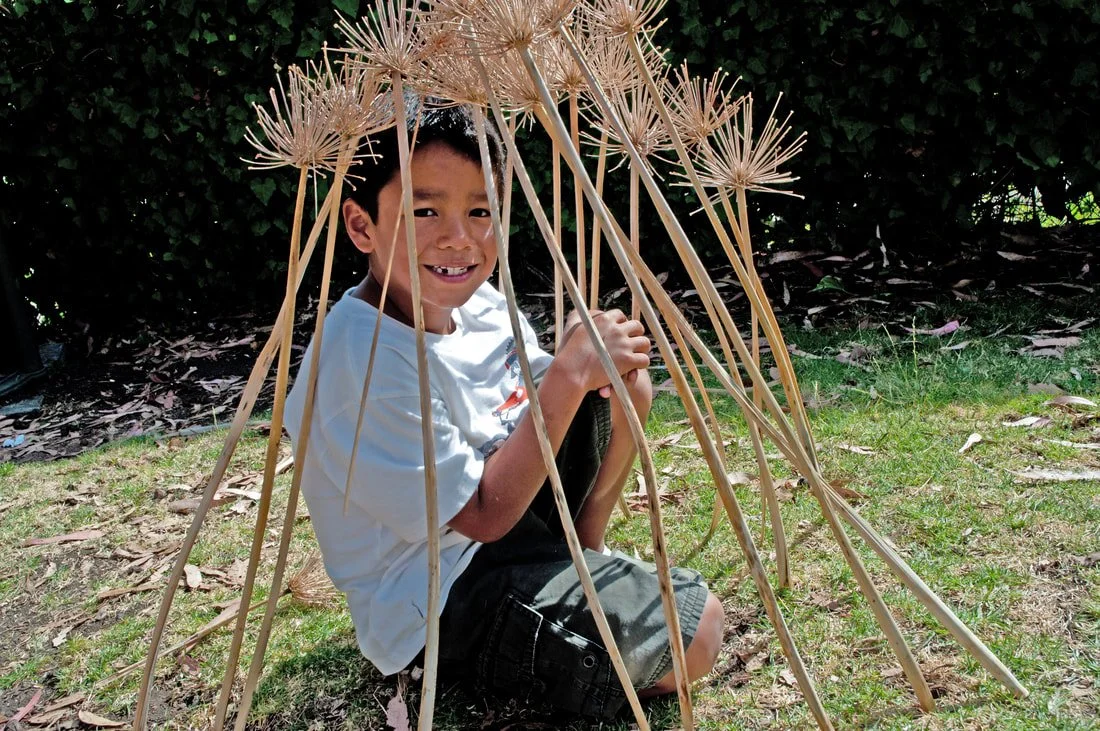 Community Ephemeral Art-making at Codornices Park – Agapanthus Project 2025