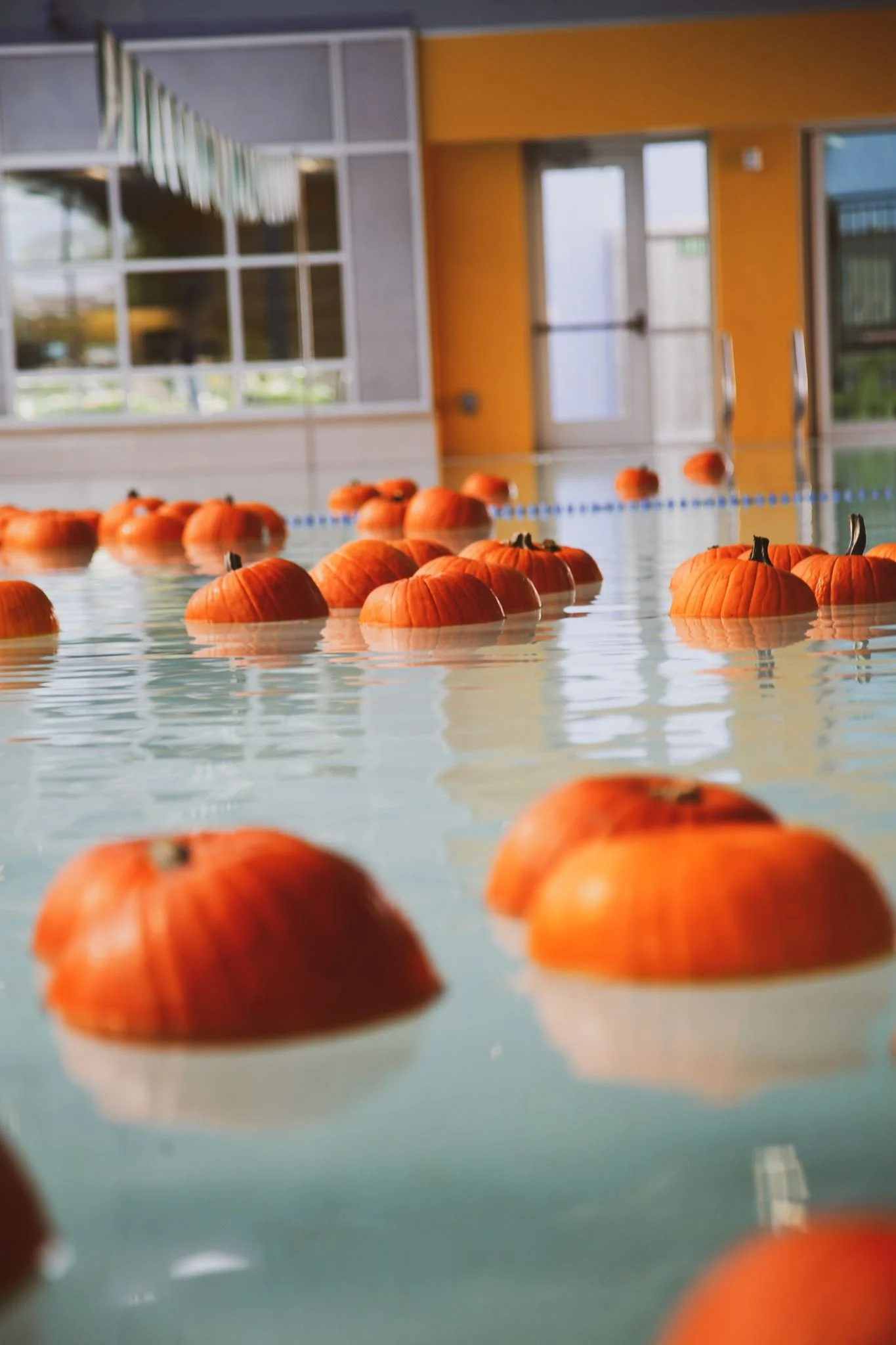 Dublin Floating Pumpkin Patch
