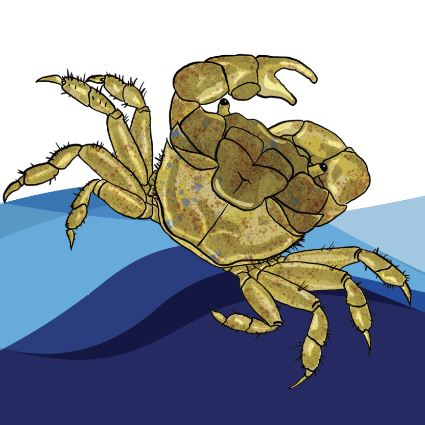 Marine Lab Open House