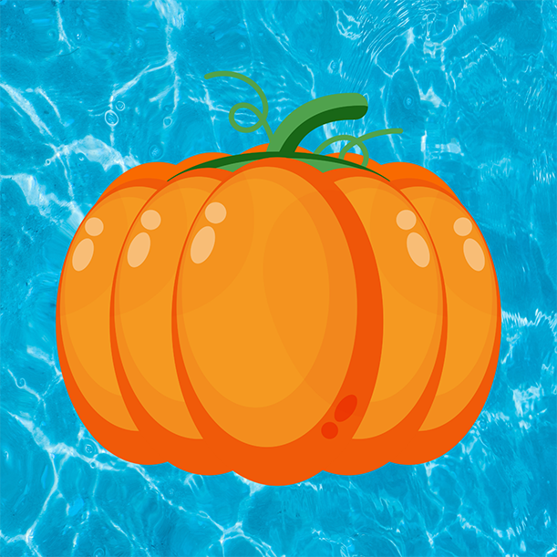Floating Pumpkin Patches