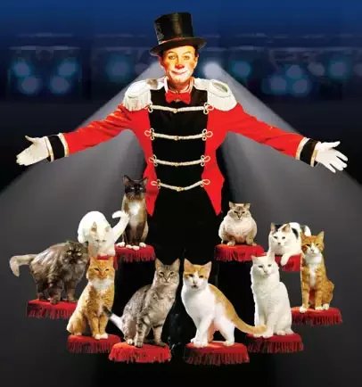 Popovich Comedy Pet Theater