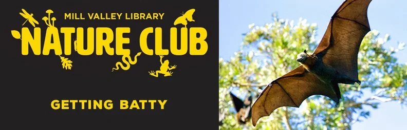 Nature Club - Getting Batty